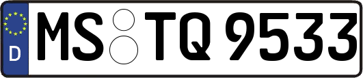 MS-TQ9533