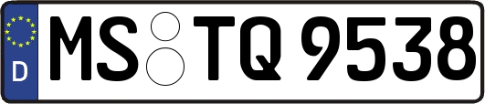 MS-TQ9538
