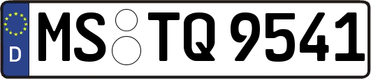 MS-TQ9541