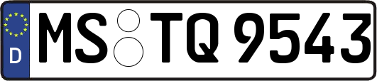 MS-TQ9543