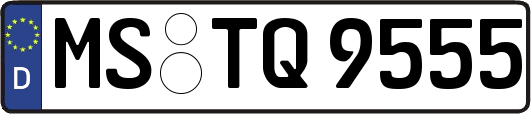 MS-TQ9555