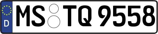 MS-TQ9558