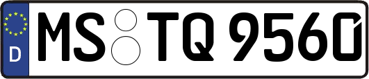MS-TQ9560