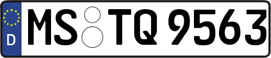 MS-TQ9563