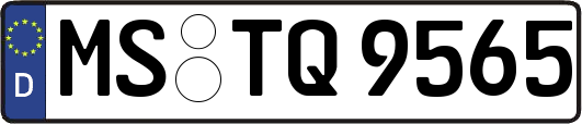 MS-TQ9565