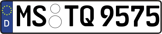 MS-TQ9575