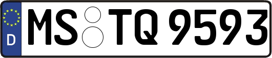 MS-TQ9593