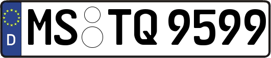 MS-TQ9599