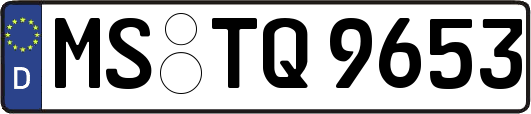 MS-TQ9653