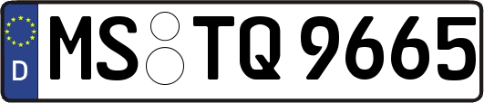 MS-TQ9665