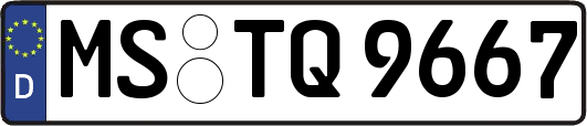 MS-TQ9667