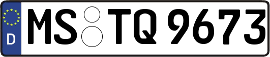 MS-TQ9673