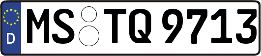 MS-TQ9713