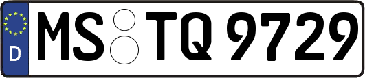 MS-TQ9729