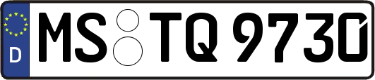 MS-TQ9730