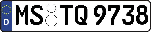 MS-TQ9738