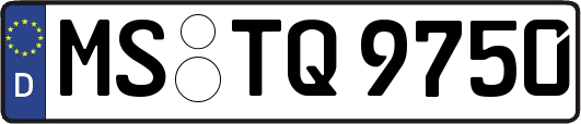 MS-TQ9750
