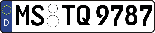 MS-TQ9787