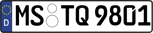 MS-TQ9801