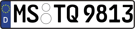 MS-TQ9813