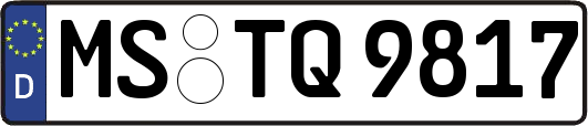 MS-TQ9817