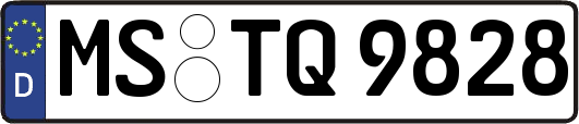 MS-TQ9828
