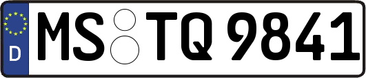 MS-TQ9841