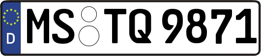 MS-TQ9871