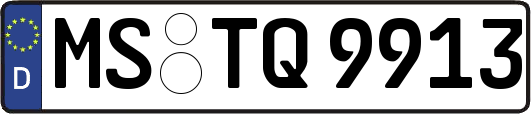 MS-TQ9913