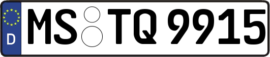 MS-TQ9915
