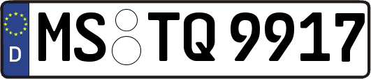 MS-TQ9917