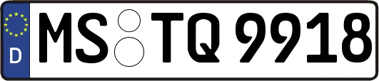 MS-TQ9918