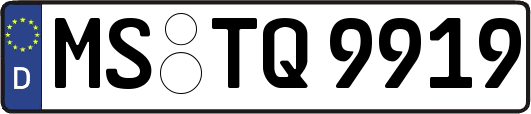 MS-TQ9919