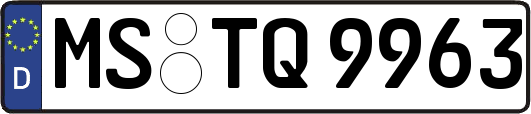 MS-TQ9963