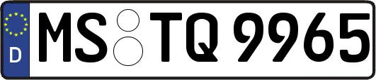 MS-TQ9965