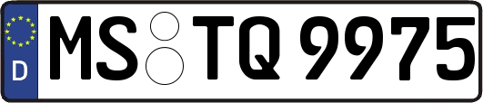 MS-TQ9975