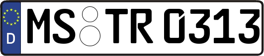 MS-TR0313