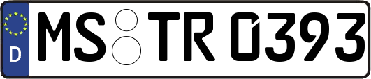 MS-TR0393