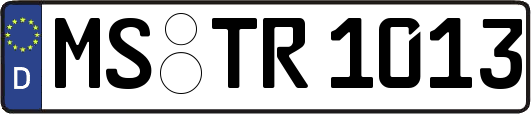 MS-TR1013