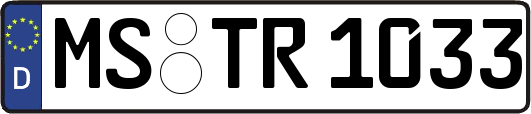 MS-TR1033