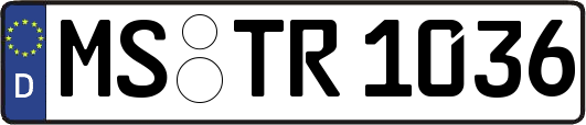 MS-TR1036