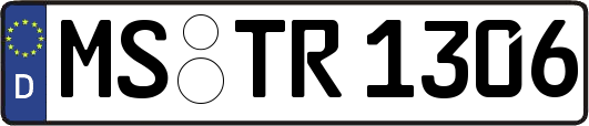MS-TR1306