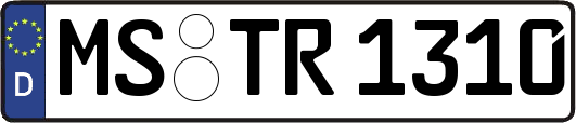 MS-TR1310
