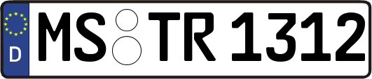 MS-TR1312