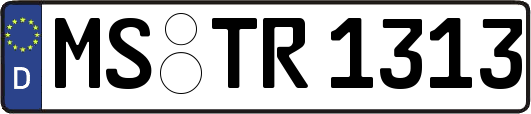 MS-TR1313