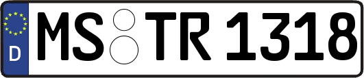 MS-TR1318