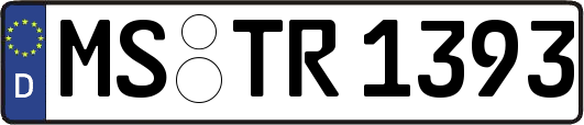 MS-TR1393