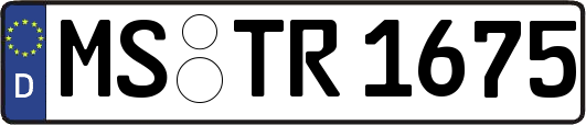 MS-TR1675