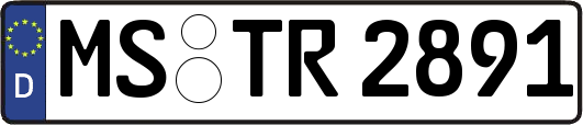 MS-TR2891
