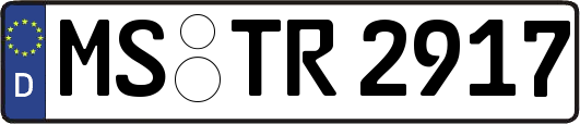 MS-TR2917